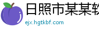 日照市某某软件开发售后客服中心